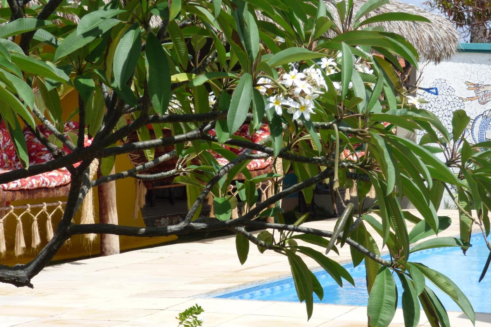 A Toca Do Bem-Te-Vi Otel Águas Belas Dış mekan fotoğraf
